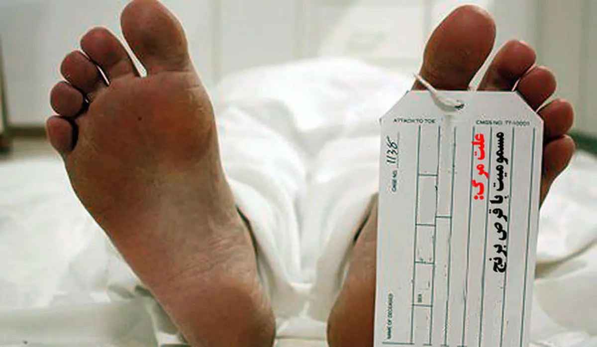 «قرص برنج» امسال جان ۳۳ کرمانشاهی را گرفت