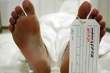 «قرص برنج» امسال جان ۳۳ کرمانشاهی را گرفت