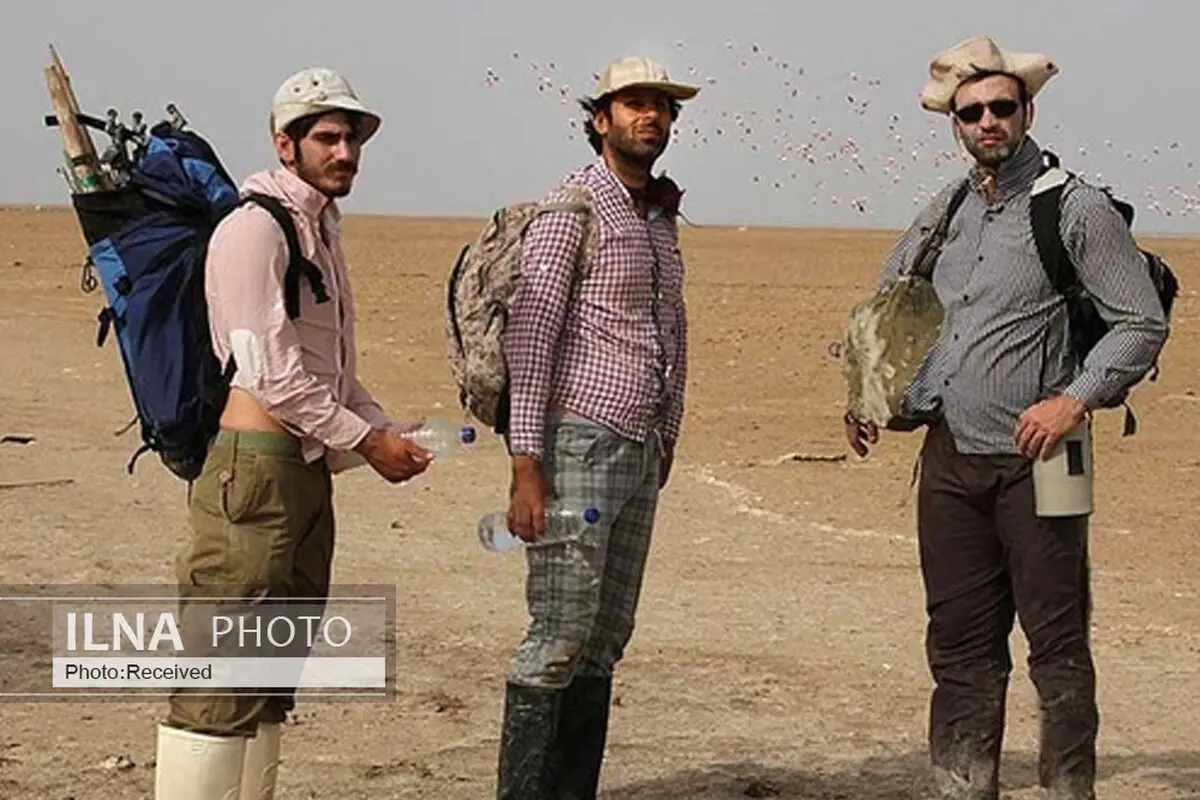 با این گرانی‌ها دیگر نمی‌توان مستند حیات‌وحش ساخت/ انتظار برای انقراض یکی از شیوه‌های مستندسازی