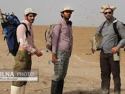 با این گرانی‌ها دیگر نمی‌توان مستند حیات‌وحش ساخت/ انتظار برای انقراض یکی از شیوه‌های مستندسازی