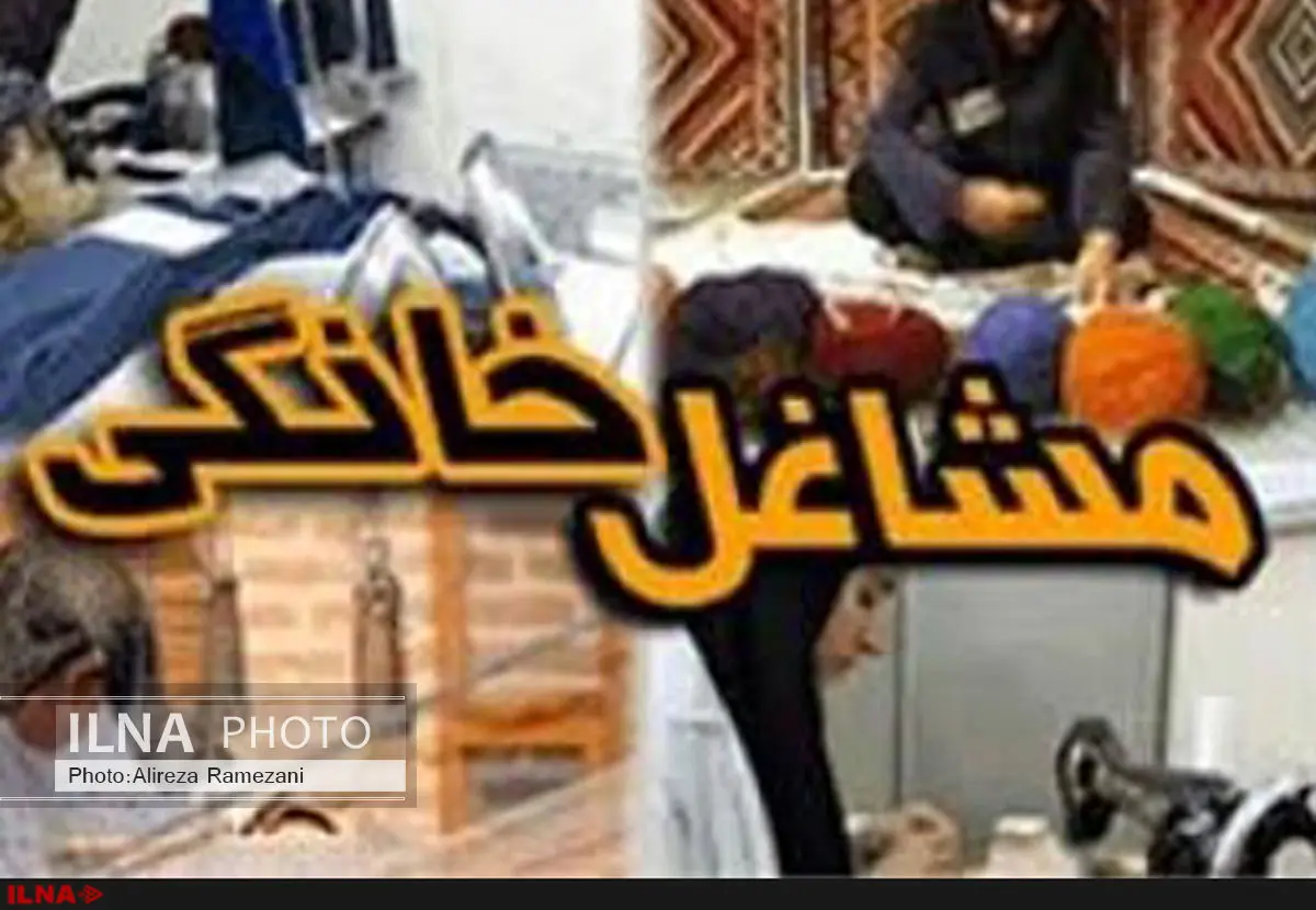 ۴۷ درصد طرحهای مشاغل خانگی شکست خورده است