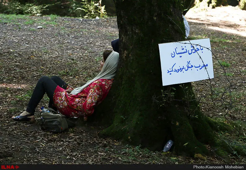 سفر معصومه ابتکار به استان مازندران
