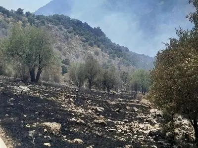آتش‌سوزی در منطقه حفاظت شده شاهو و کوسالان مهار شد