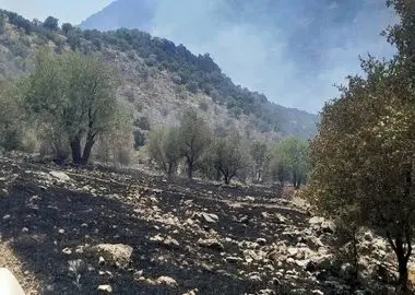 آتش‌سوزی در منطقه حفاظت شده شاهو و کوسالان مهار شد