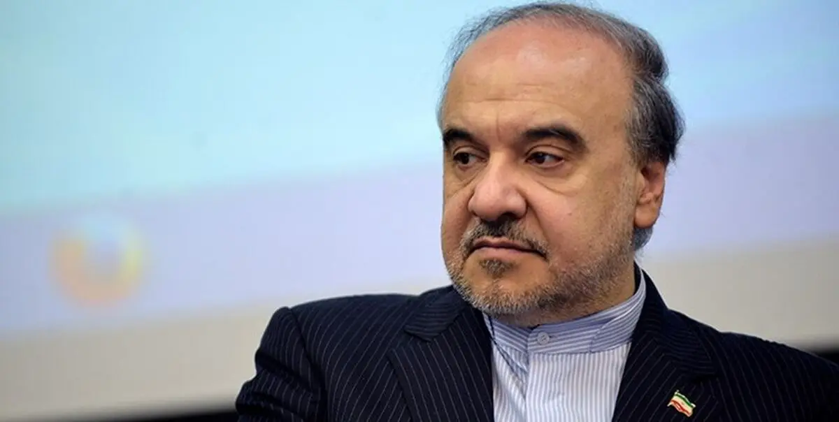 تاج بازنشسته نیست/ دولت موافق واگذاری سرخابی‌ها بر اساس روال مجلس نیست