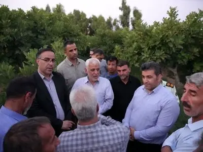 مشکلات باغداران انجیر معمولان برطرف شود 