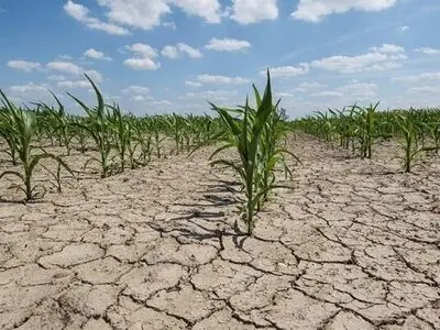 وضعیت  بارندگی امسال برای بخش کشاورزی نگران کننده است