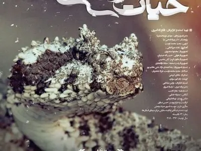 «حیات در رگ‌های سرد» در شبکه مستند/ روایت زندگی اسرارآمیز خزندگان غرب ایران 