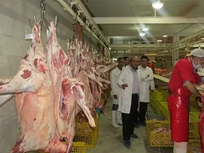 سازمان نظام دامپزشکی بازوی حرکتی سازمان دامپزشکی است