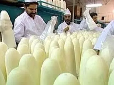 راه‌اندازی کارخانه «قند اهر» و امکان اشتغال برای ۵۰۰ کارگر