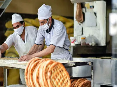 ۶۰۰ تن آرد ترمیمی برای گلستان تامین شد