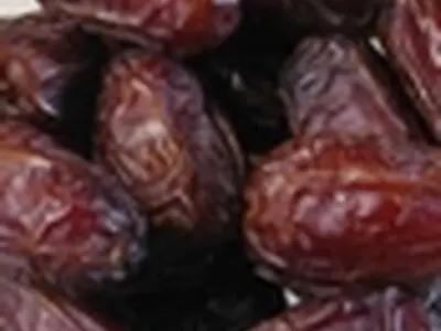 احتمال آلودگی خرمای وارداتی شایعه است