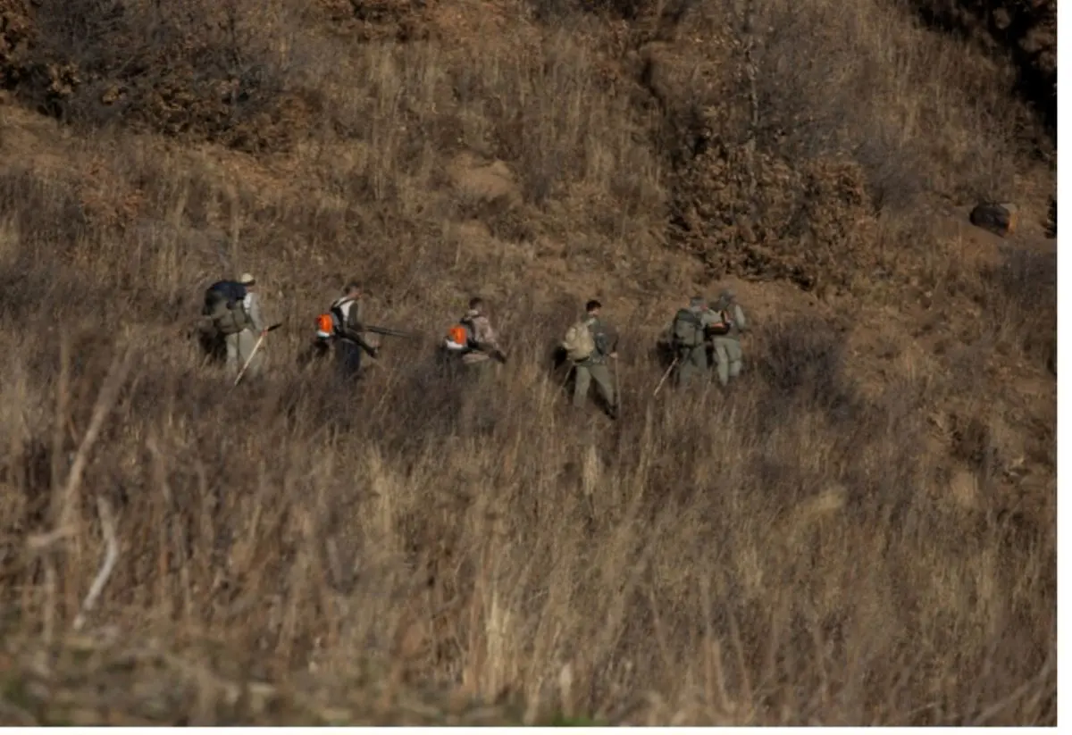 محدوده‌ای از جنگل‌های نور مازندران آتش گرفت/ 
عملیات اطفای حریق در جریان است