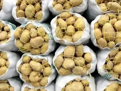 توزیع ۴ تن سیب‌زمینی تنظیم بازار در محمودآباد جهت کنترل قیمت و حمایت از مصرف‌کنندگان  