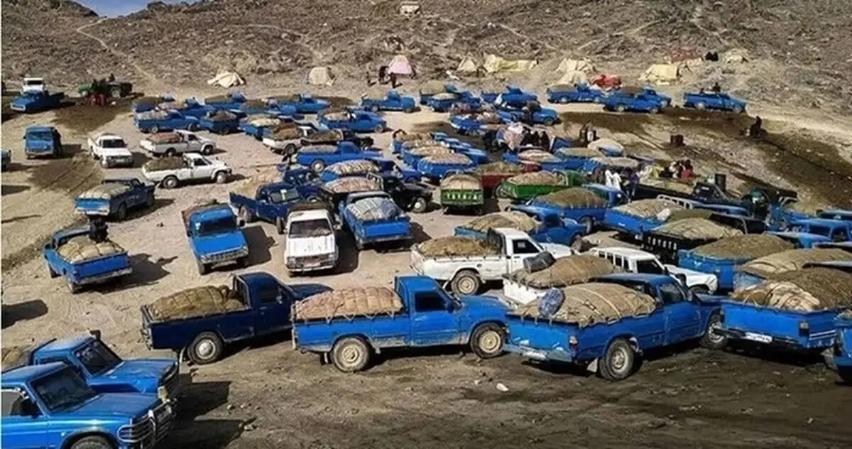 باند قاچاق ۵ میلیون لیتر سوخت در کشور منهدم شد