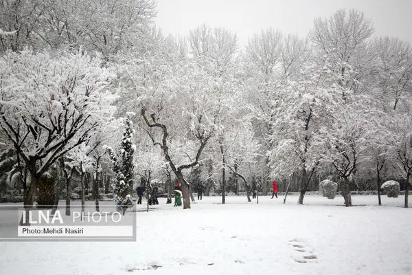 هشدار هواشناسی درباره بارش برف و باران در ۲۳ استان