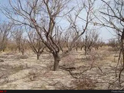جنوبگانِ خراسان زیر آتشِ خورشید و نگاه سرد مسئولان جان می‌کند/الله بارون هم بدهد بی‌برنامگی آن را به آسمان بازمی‌گرداند