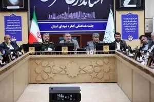 مشارکت فرمانداران در برگزاری کنگره ۱۲ هزار شهید شهرستان‌های تهران