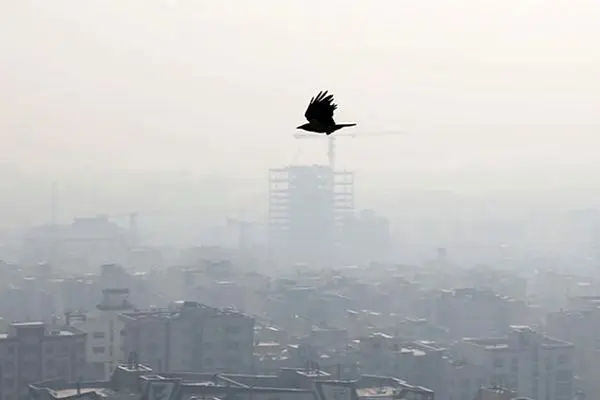 هشدار هواشناسی درباره تشدید آلودگی هوا در ۹ شهر ایران 