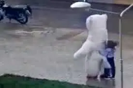 asdasd