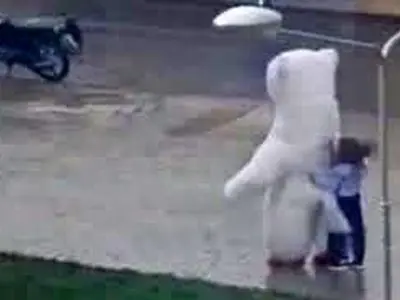 asdasd