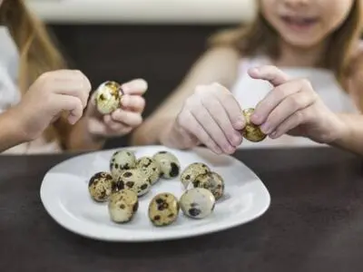 فواید شگفت انگیز تخم بلدرچین برای کودکان