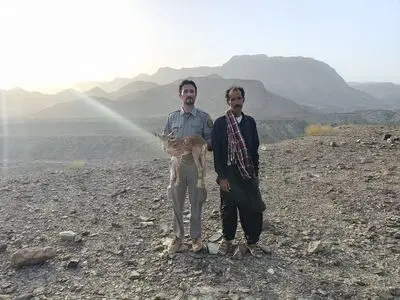 تحویل یک راس بره وحشی آسیب دیده به اداره محیط زیست راسک 