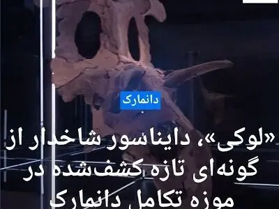 گونه شاخدار جدیدی از دایناسورها متعلق به ۷۸ میلیون سال پیش در موزه دانمارک به نمایش درآمد + فیلم
