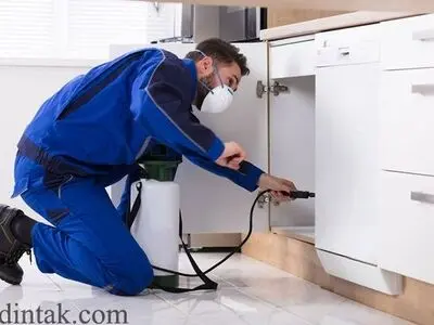 شرکت سمپاشی رادین تک، ارائه خدمات سمپاشی منزل