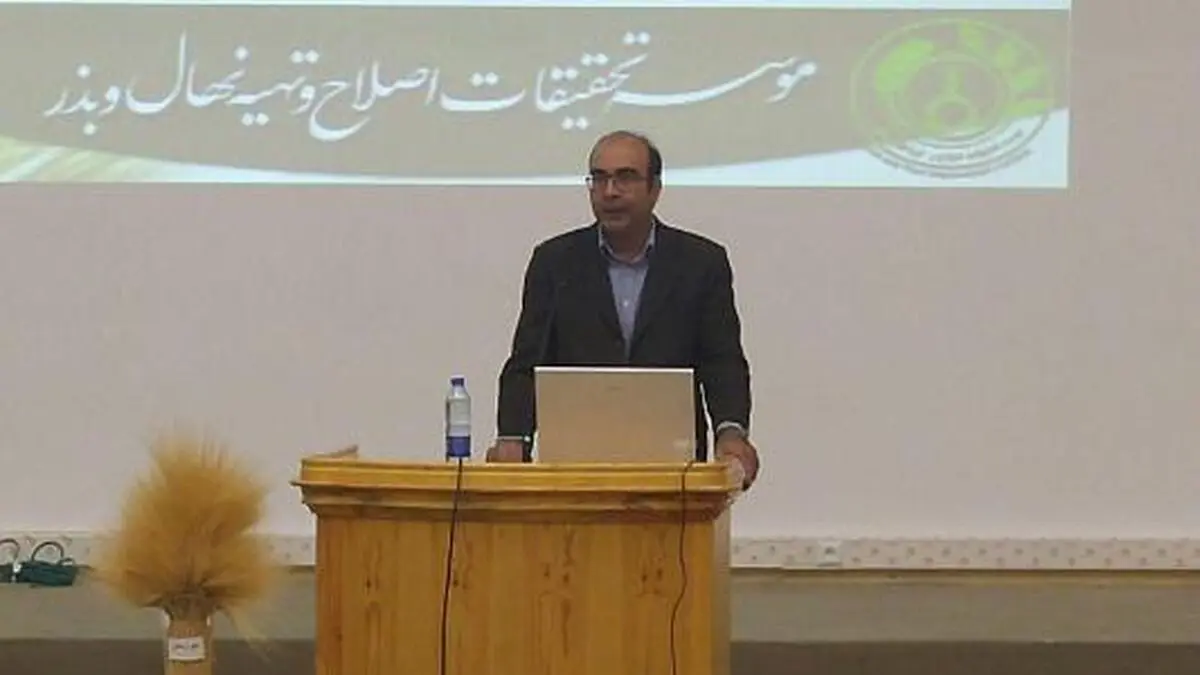 خریداری 9 میلیون تن گندم دیم و آبی از کشاورزان