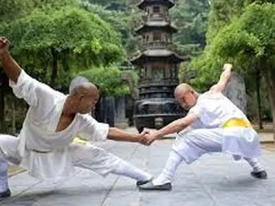 دست فرمونِ راننده‌های معبد شائولین +فیلم