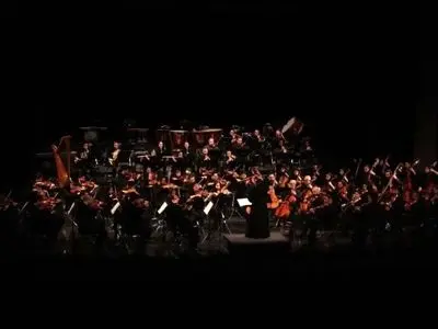 فعلا کنسرتی برگزار نمی‌شود