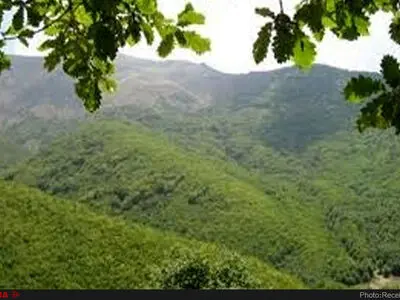 ثبت جنگل‌های فندقلو به نام استان گیلان صحت ندارد