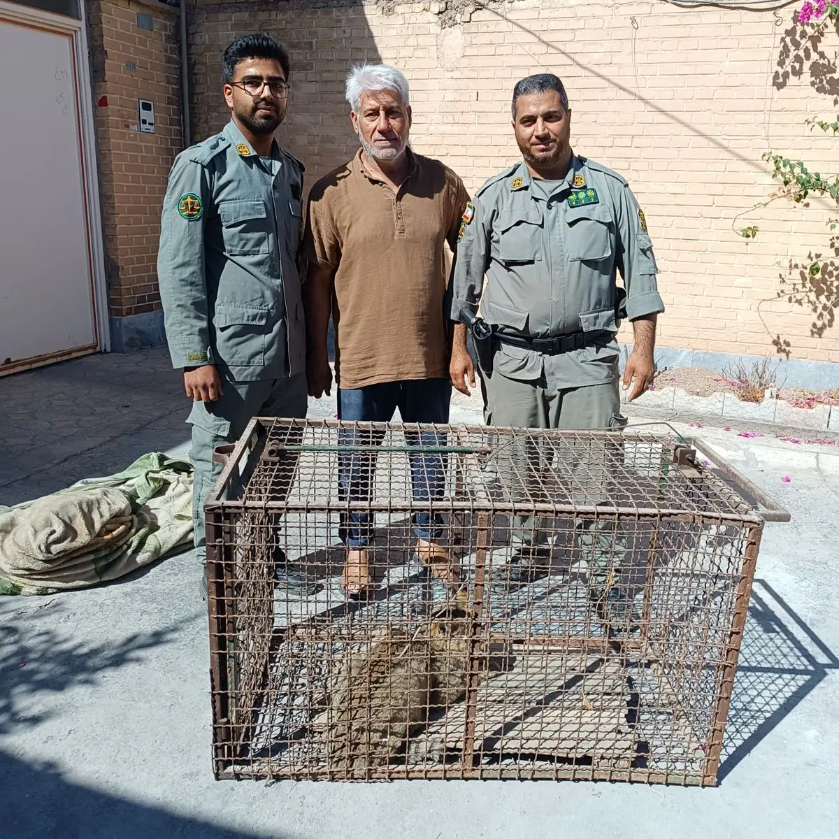 رهاسازی یک قلاده گربه جنگلی در پارک ملی کرخه