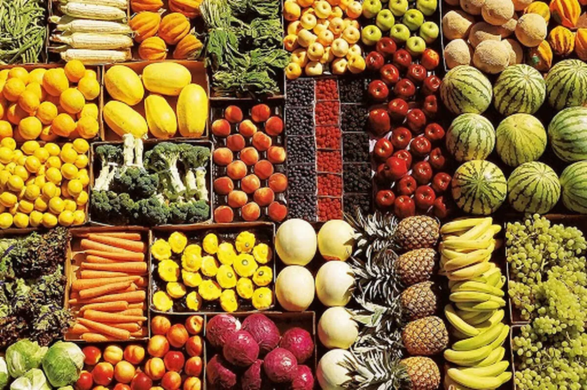 تشکیل قرارگاه رصد و پایش برای تولید محصولات گیاهی 