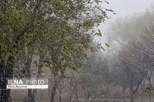 رگبار باران، وزش باد و بروز گرد و خاک در ۱۶ استان