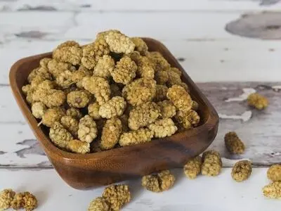 از خواص توت خشک برای سلامتی و زیبایی غافل نشوید