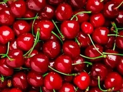 آموزش روش هسته گیری آلبالو در منزل با لوازم ساده