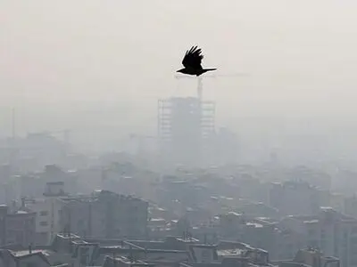 دورکاری کارکنان دستگاه‌های اجرایی تهران لغو شد