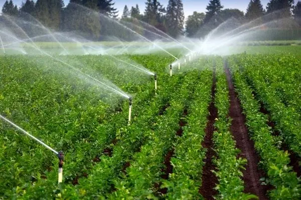 تجهیز ۲۸ درصد از اراضی کشاورزی گلستان به سیستم‌های نوین آبیاری