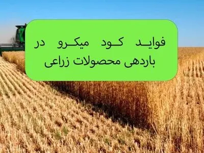  فواید مصرف کود ماکرو چیست؟