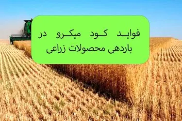  فواید مصرف کود ماکرو چیست؟