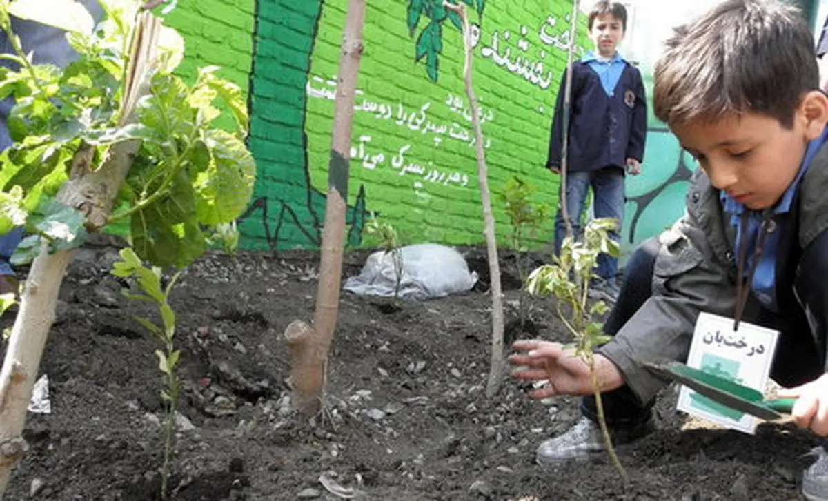 سازمان نوسازی، توسعه و تجهیز مدارس در راستای حفاظت از محیط زیست تقدیر شد