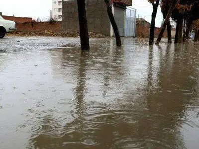 ۱۵ مورد آبگرفتگی در سطح شهر سبزوار در پی بارندگی‌های شب گذشته
