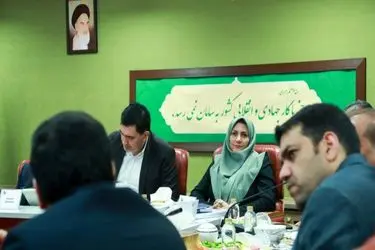 از ادعای تسهیل ثبت سفارش تا تکذیب گسترده از سوی واردکنندگان