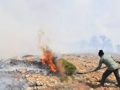  آتش در منطقه حفاظت شده سبز کوه چهار محال و بختیاری مهار شد