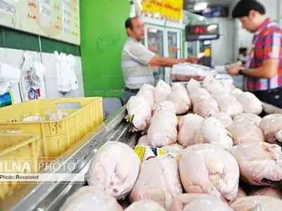 عرضه بیش از ۸ هزار و ۳۶۵ تن گوشت مرغ در لرستان