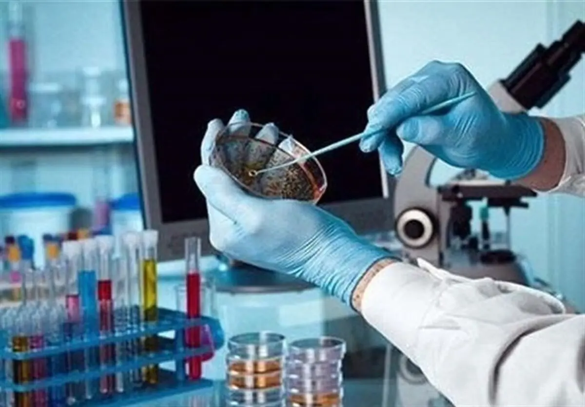 برگزاری رویداد کارآفرینی اجتماعی با هدف تحکیم بنیان خانواده در مشهد