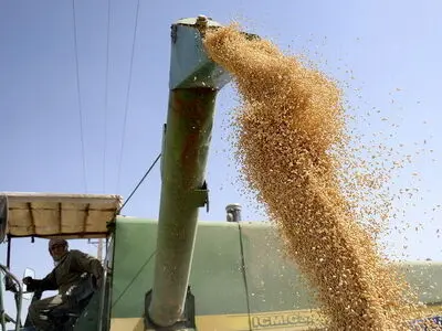FAO: Iran’s crops production increases by more than 20%