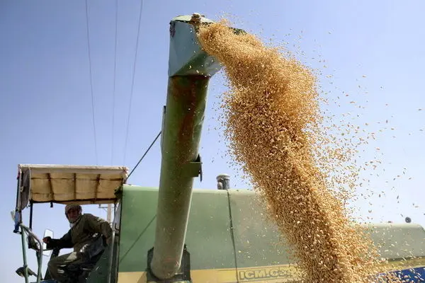 FAO: Iran’s crops production increases by more than 20%